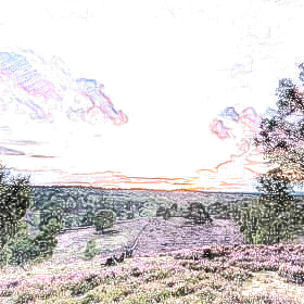 IMG_2087.PNG